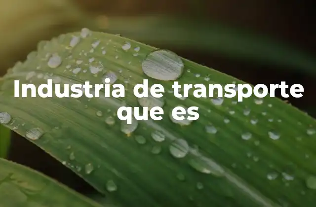 Industria de Transporte que es