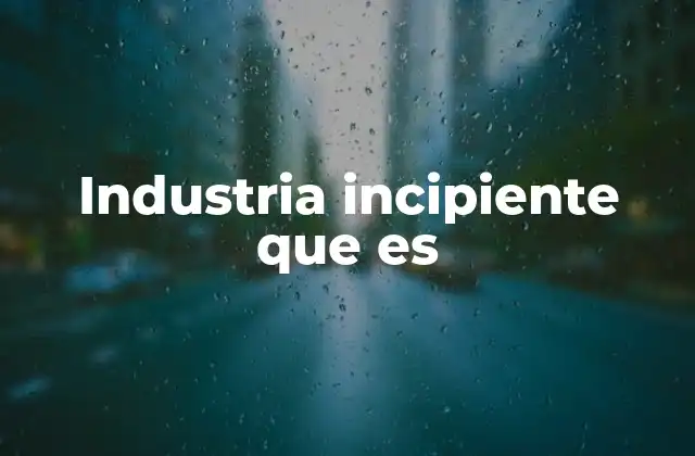 Industria Incipiente que es 2 Características de las industrias incipientes
