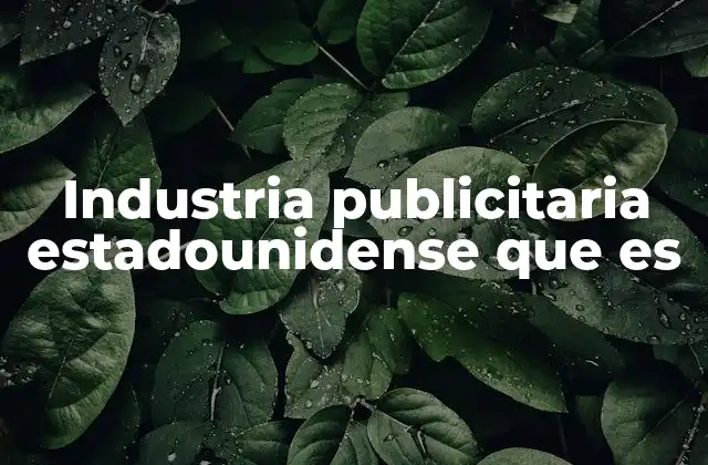 Industria Publicitaria Estadounidense que es