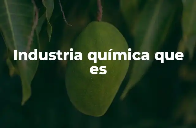 Industria Química que es