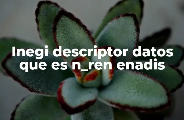 Inegi Descriptor Datos que es N_ren Enadis