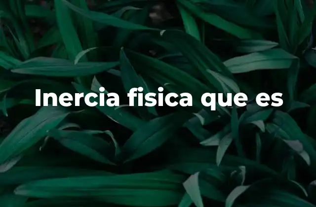 Inercia Fisica que es