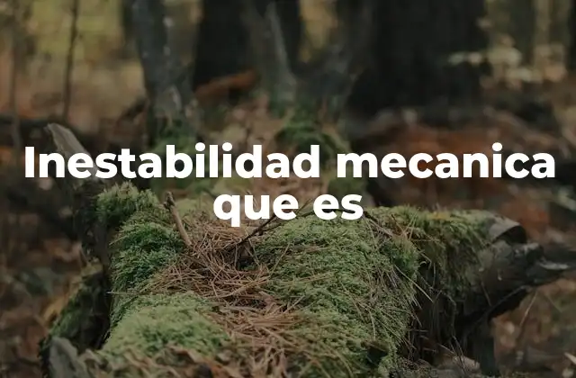 Inestabilidad Mecanica que es