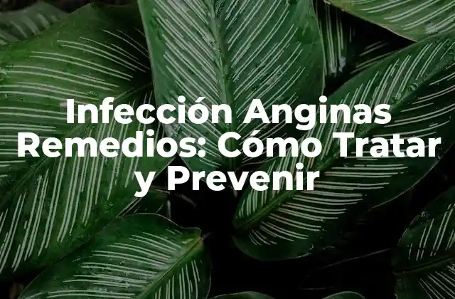 Infección Anginas Remedios: Cómo Tratar y Prevenir
