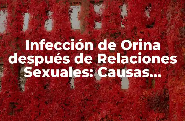 Infección de Orina Después de Relaciones Sexuales: Causas, Síntomas y Tratamiento