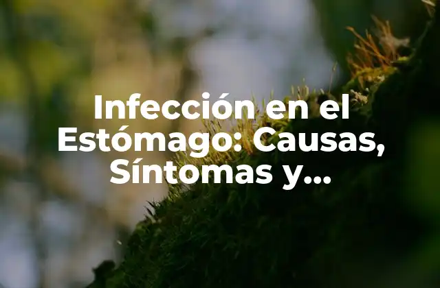 Infección en el Estómago: Causas, Síntomas y Tratamientos 2 Causas de la Infección en el Estómago