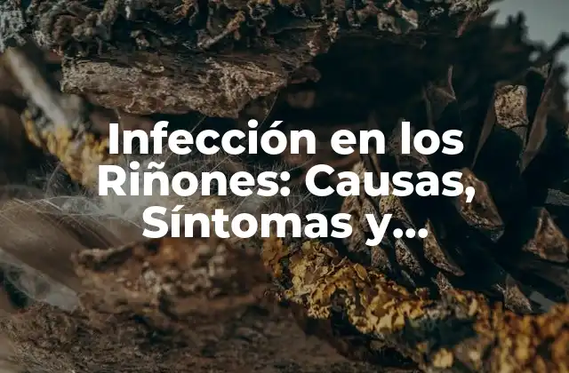 Causas de la Infección en los Riñones