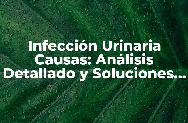 Infección Urinaria Causas: Análisis Detallado y Soluciones Efectivas