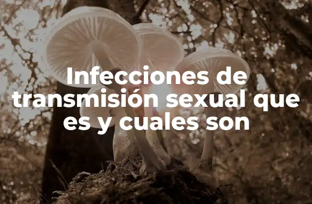 Infecciones de Transmisión Sexual que es y Cuales Son