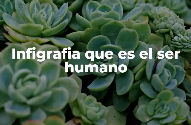 Infigrafia que es el Ser Humano