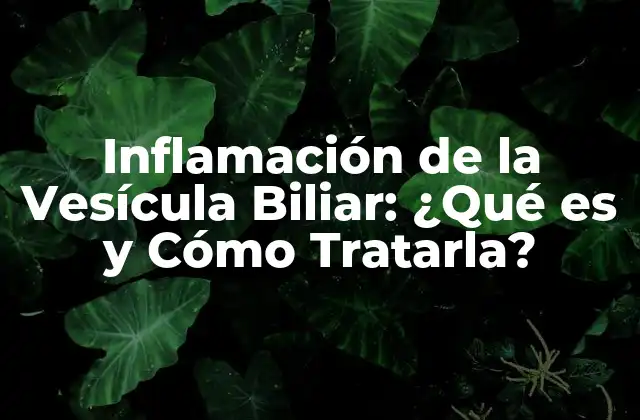 Inflamación de la Vesícula Biliar: ¿qué es y Cómo Tratarla?
