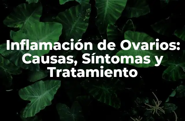 Inflamación de Ovarios: Causas, Síntomas y Tratamiento