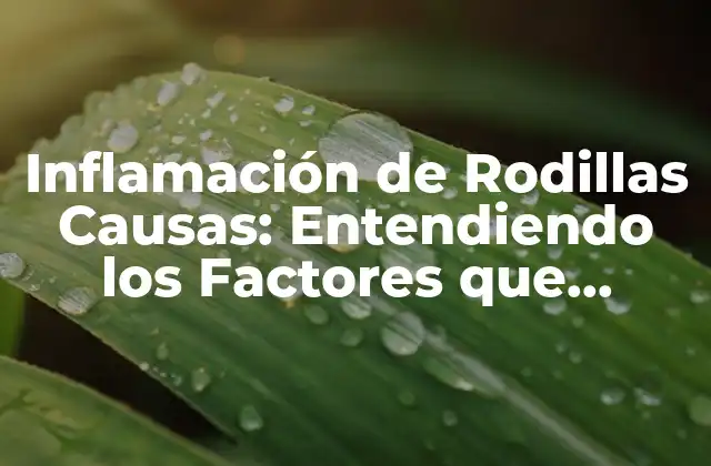 Inflamación de Rodillas Causas: Entendiendo los Factores que Contribuyen Al Dolor