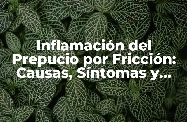 Inflamación Del Prepucio por Fricción: Causas, Síntomas y Tratamiento