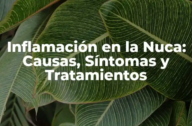 Inflamación en la Nuca: Causas, Síntomas y Tratamientos