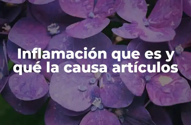 Inflamación que es y Qué la Causa Artículos