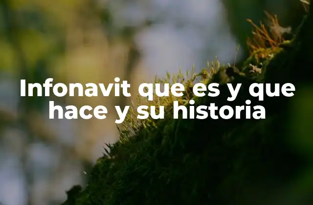 Infonavit que es y que Hace y Su Historia