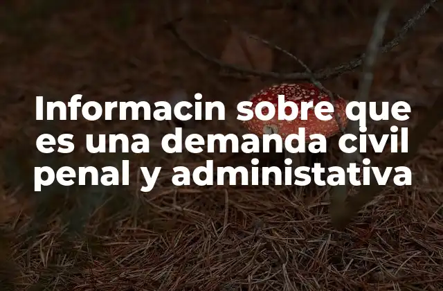 Informacin sobre que es una Demanda Civil Penal y Administativa