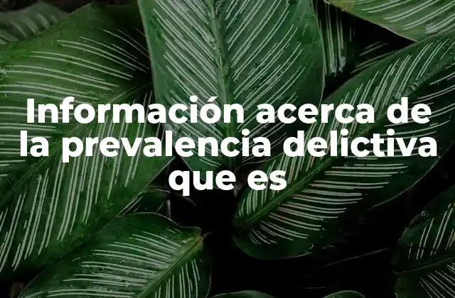 Información Acerca de la Prevalencia Delictiva que es