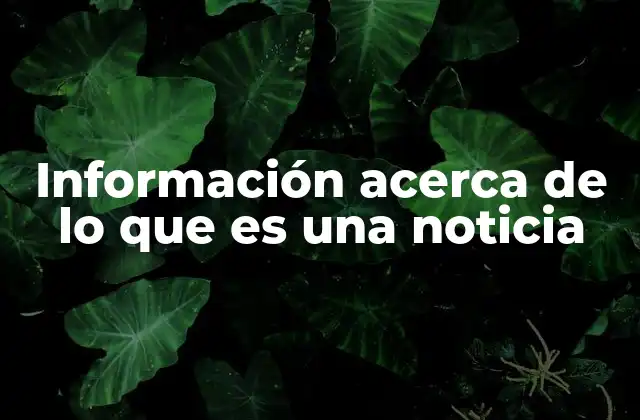 Información Acerca de Lo que es una Noticia