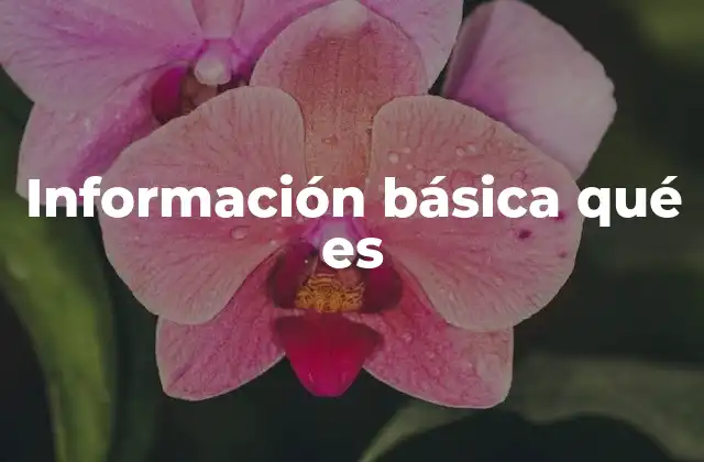 Información Básica Qué es