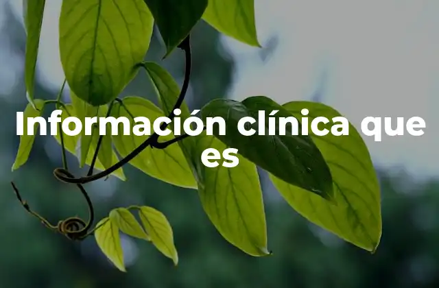 La importancia de los datos en la atención médica