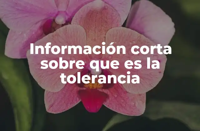 Información Corta sobre que es la Tolerancia