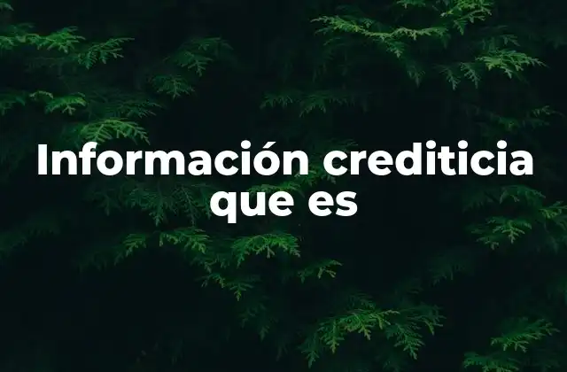 Información Crediticia que es