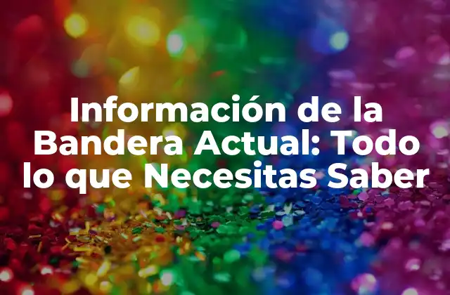 Información de la Bandera Actual: Todo Lo que Necesitas Saber
