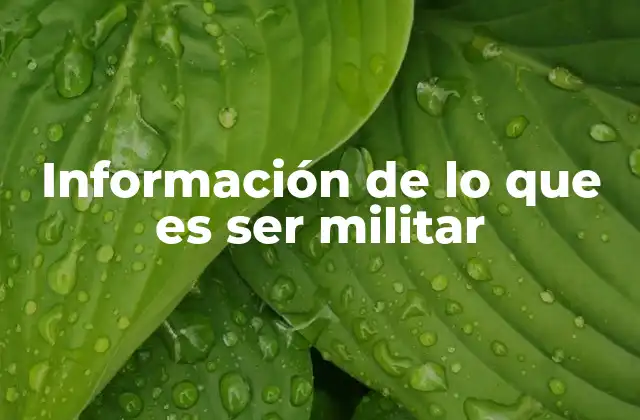 Información de Lo que es Ser Militar