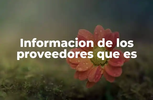 Informacion de los Proveedores que es