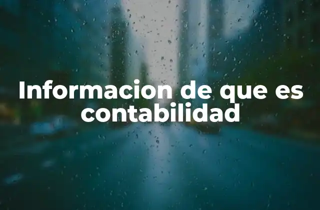 Informacion de que es Contabilidad