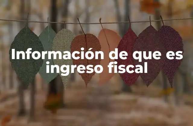 Información de que es Ingreso Fiscal