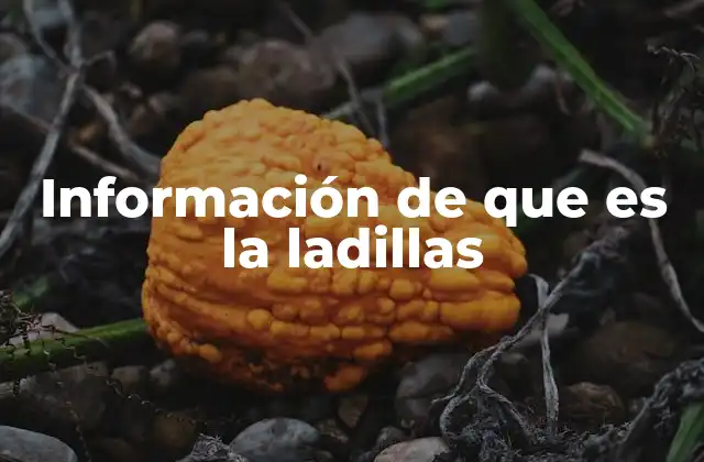 Información de que es la Ladillas