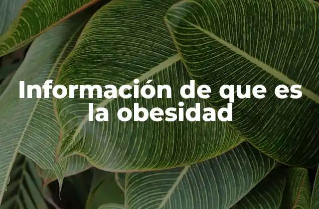 Información de que es la Obesidad