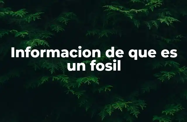 Informacion de que es un Fosil