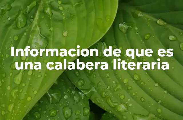 Informacion de que es una Calabera Literaria 2 El simbolismo de la muerte en la literatura