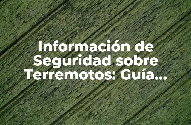 Información de Seguridad sobre Terremotos: Guía Completa para Prepararte