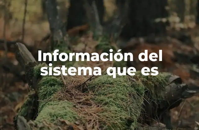 Información Del Sistema que es
