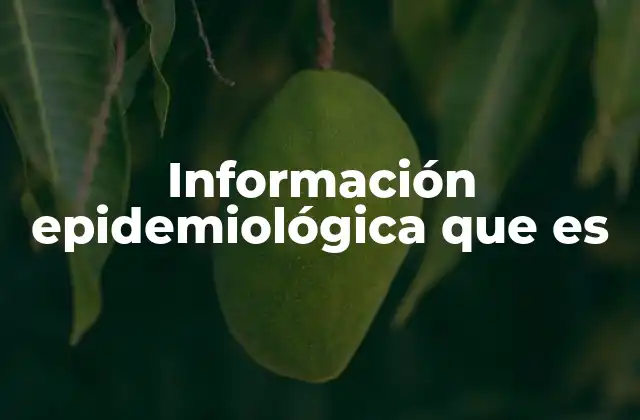 Información Epidemiológica que es