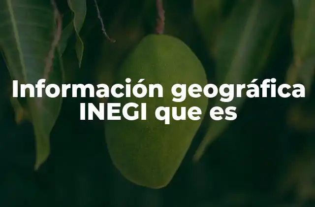 Información Geográfica Inegi que es 2 La importancia de la información geográfica en el desarrollo territorial