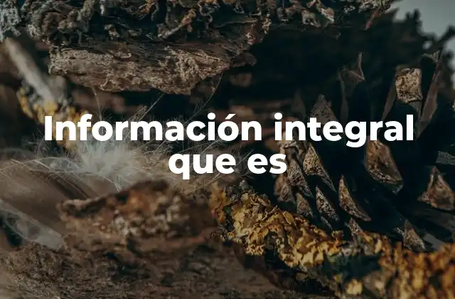 Información Integral que es