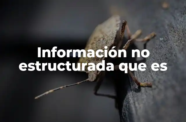 Información No Estructurada que es