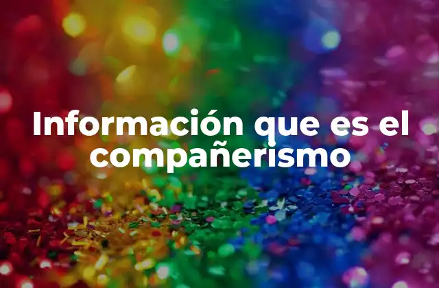 La importancia del compañerismo en la vida social