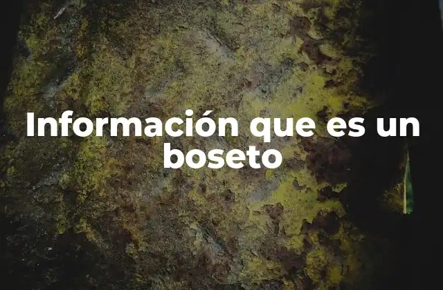Información que es un Boseto