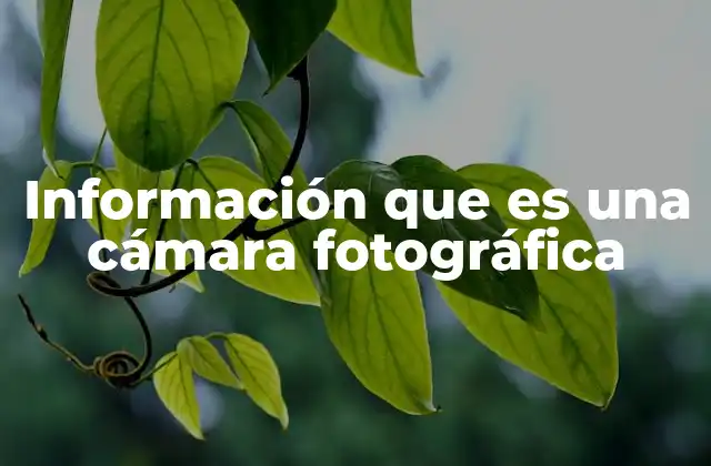 La importancia de la tecnología en la captura de imágenes