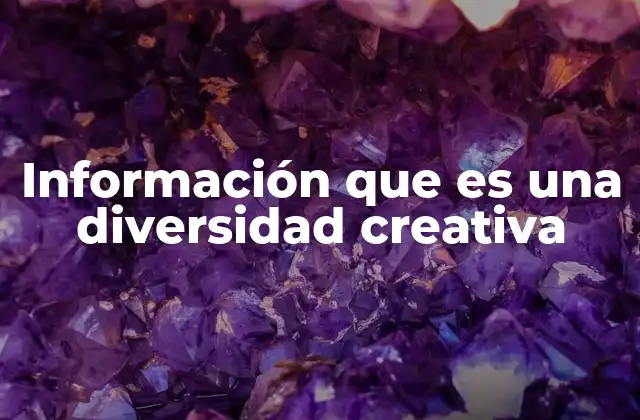 Información que es una Diversidad Creativa