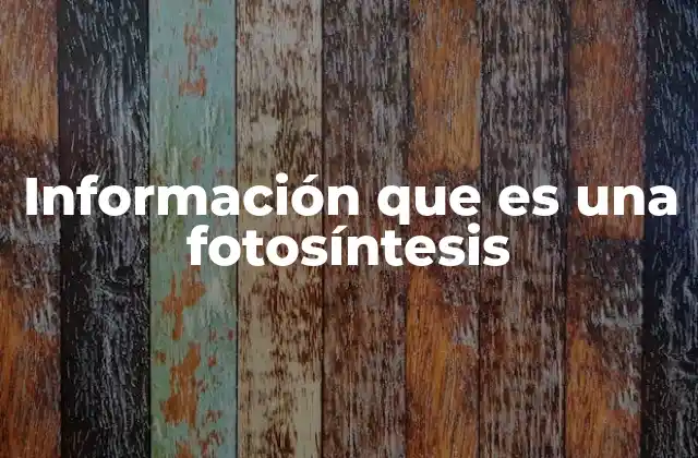 Información que es una Fotosíntesis