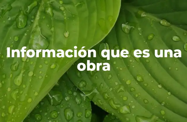 Información que es una Obra