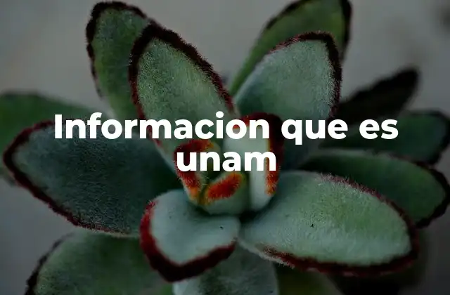 Informacion que es Unam